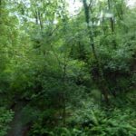 Bayonne à Espellette (14)