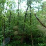 Bayonne à Espellette (15)