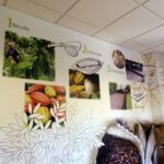 Bayonne à Espellette (36)